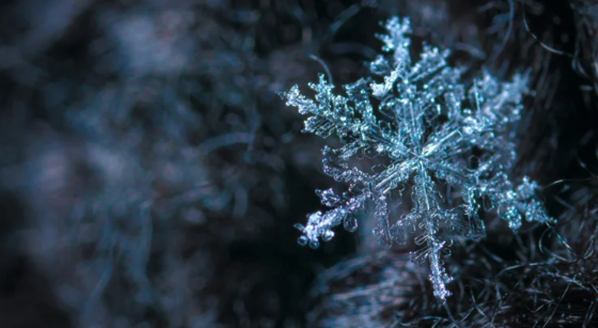 dia mundial de la refrigeracion 2025