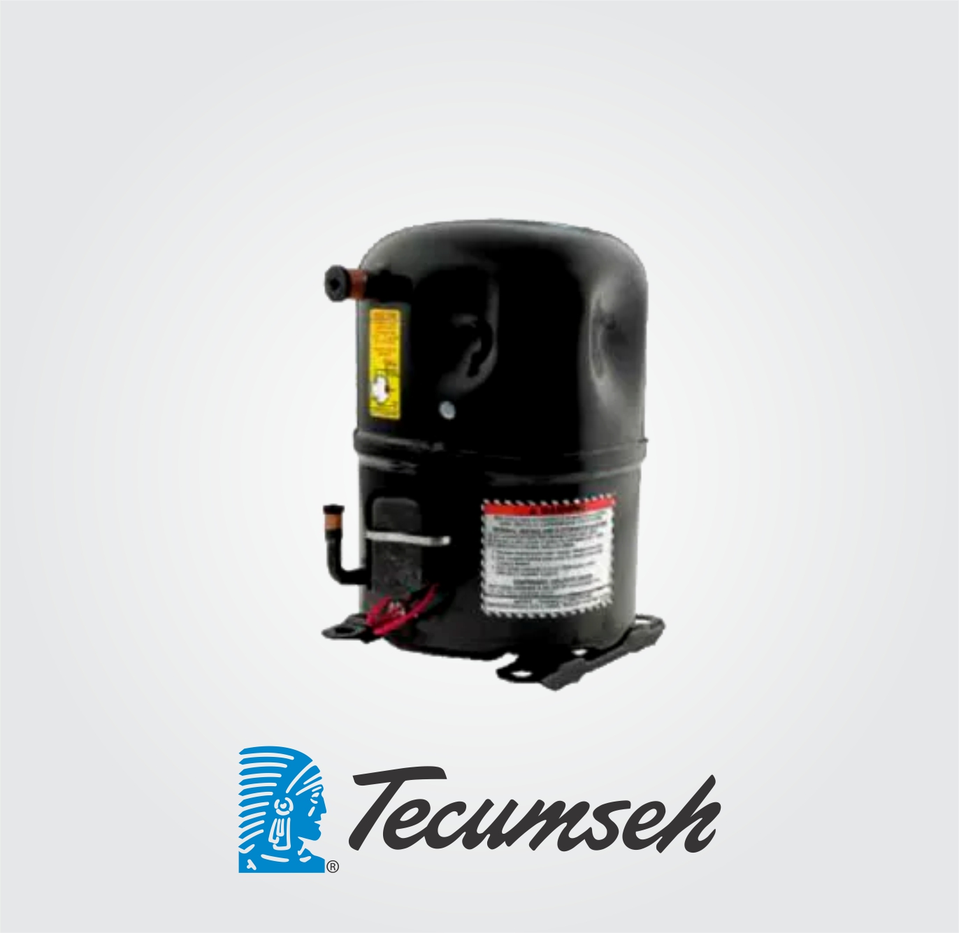 tecumseh2